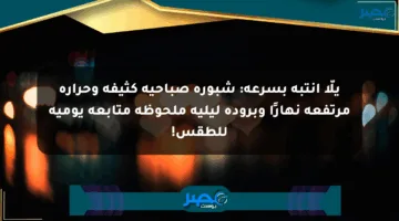 يلّا انتبه بسرعة: شبورة صباحية كثيفة وحرارة مرتفعة نهارًا وبرودة ليلية ملحوظة متابعة يومية للطقس!